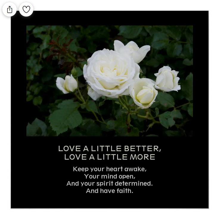 Love better and more photo poster with white roses and a motivational quote